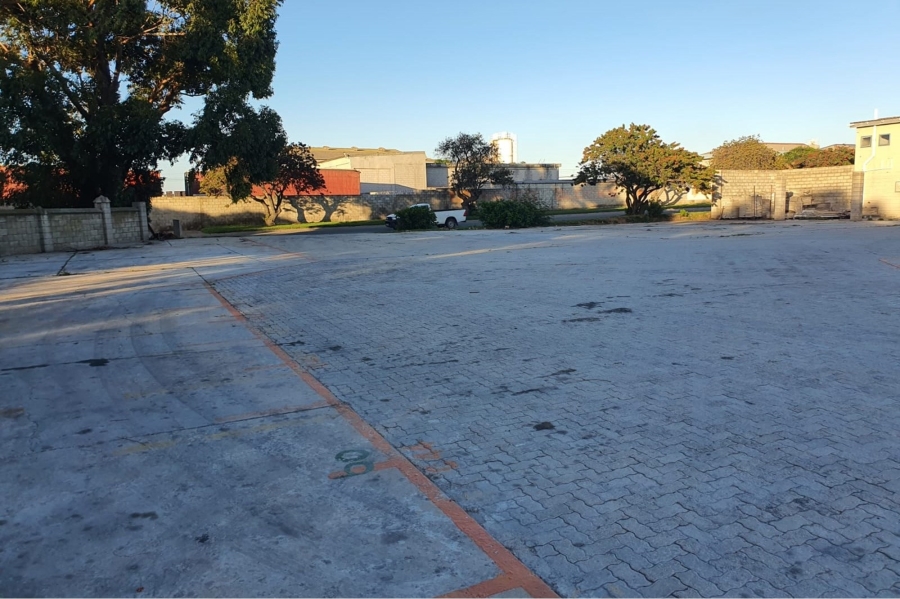 To Let commercial Property for Rent in Perseverance Industrial Eastern Cape